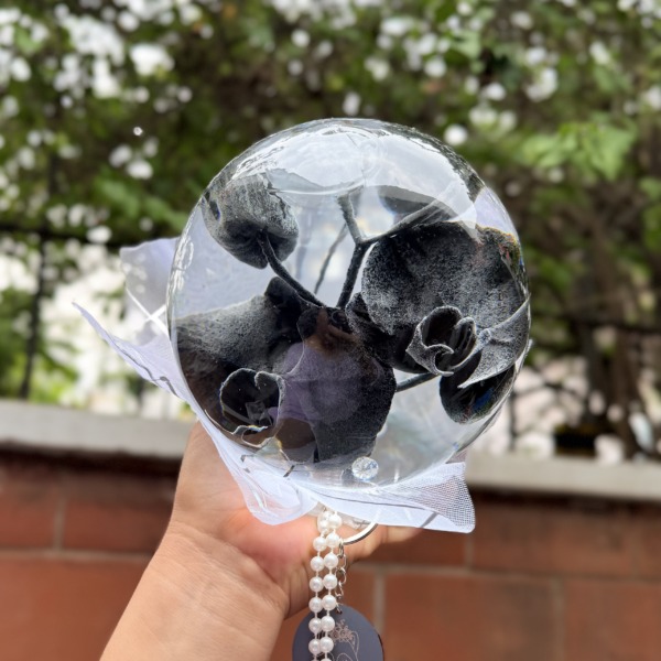Orquídeas negras dentro de una burbuja transparente con tul blanco y perlas — Wallflower Guatemala