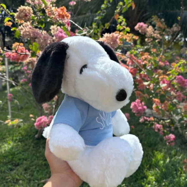 Snoopy: arreglo floral — Wallflower Guatemala