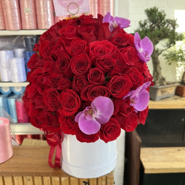 Fleur Noire: arreglo floral con rosas y orquídeas — Wallflower Guatemala