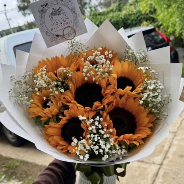 Sunflower blessed